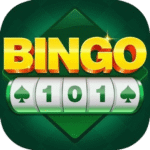 BINGO 101